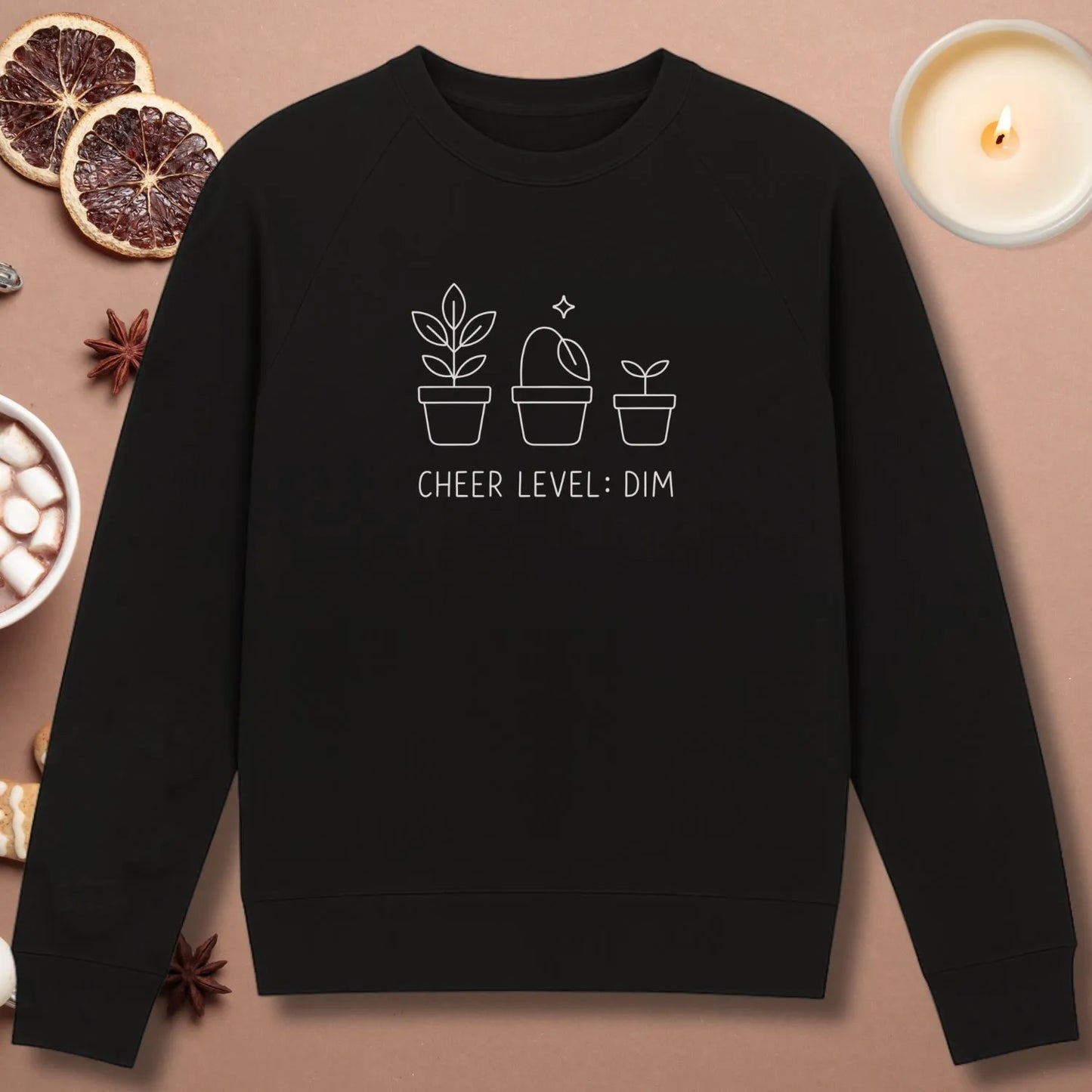 Cheer Level Dim Sweatshirt