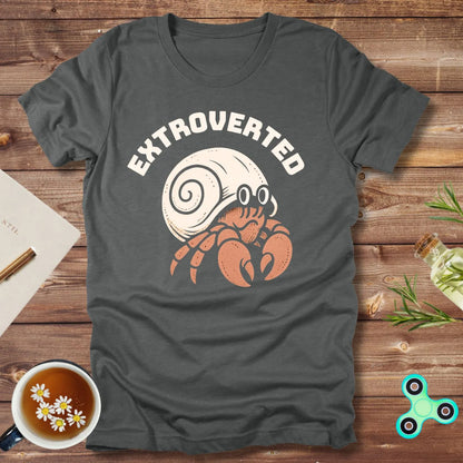 The Extroverted Hermit