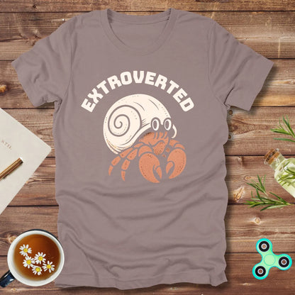 The Extroverted Hermit