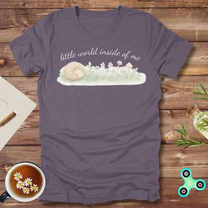 Little World Inside Me